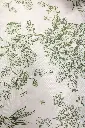 IMG_4891-2.webp
