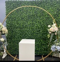 Gold ring in front of Boxwood.jpg