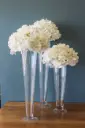 Vase -- Trumpet