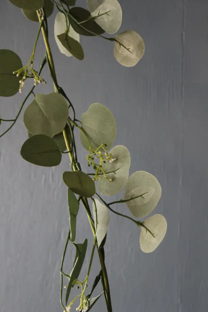 Seeded Eucalyptus