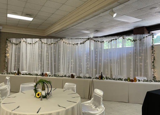 Backdrop Panel  Sheer Voile 118" x 12'